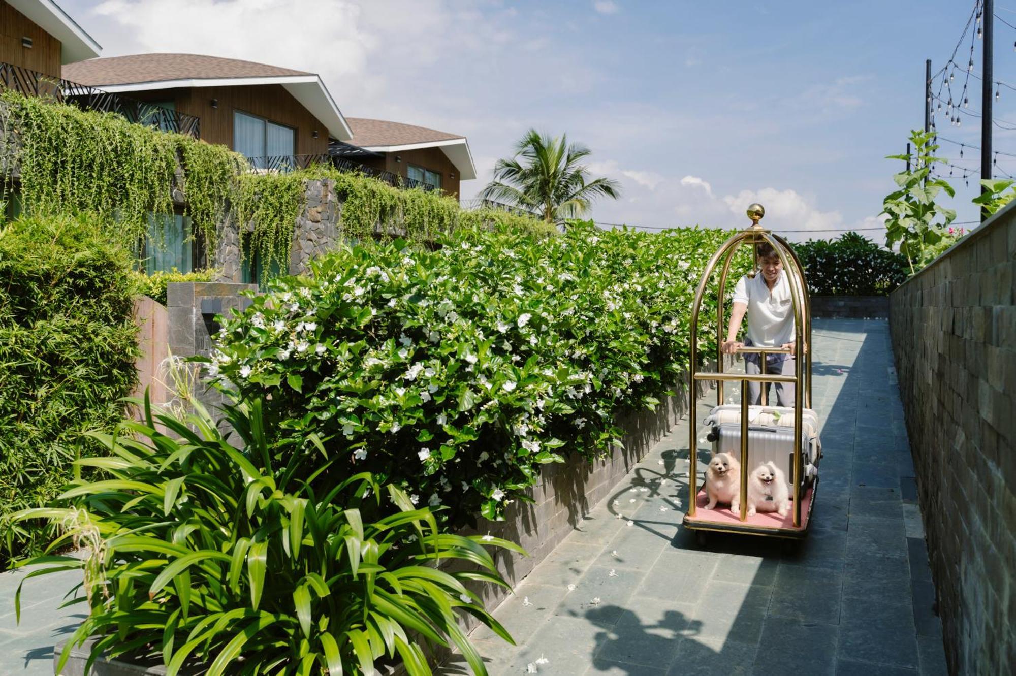 Bellerive Hoi An Resort And Spa Exterior photo
